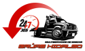 logo brillo1